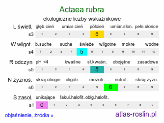 ekologiczne liczby wskaźnikowe Actaea rubra (czerniec czerwony)