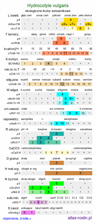 ekologiczne liczby wskaźnikowe Hydrocotyle vulgaris (wąkrota zwyczajna)