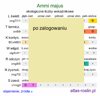 ekologiczne liczby wskaÅºnikowe Ammi majus (aminek wielki)