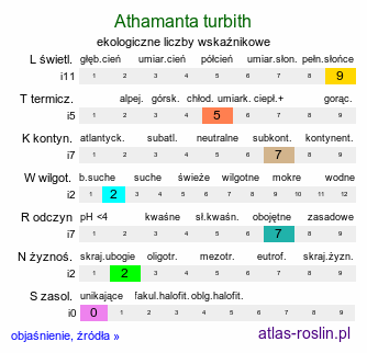 ekologiczne liczby wskaźnikowe Athamanta turbith (świniak Matthioliego)