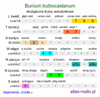 ekologiczne liczby wskaźnikowe Bunium bulbocastanum (rzepnik bulwiasty)