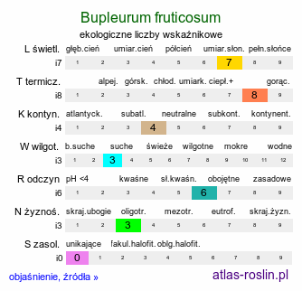 ekologiczne liczby wskaźnikowe Bupleurum fruticosum