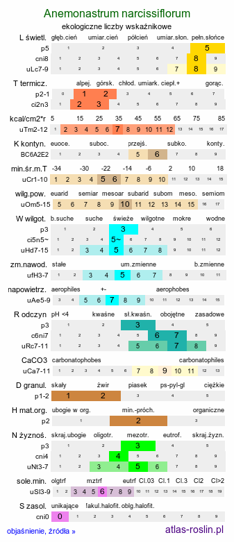 ekologiczne liczby wskaźnikowe Anemonastrum narcissiflorum (zawilec narcyzowy)