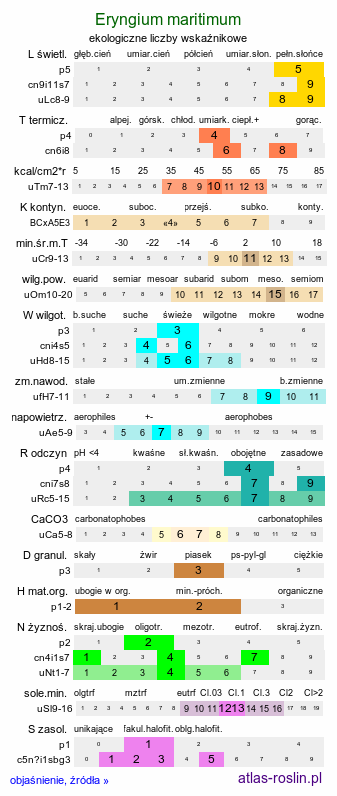 ekologiczne liczby wskaźnikowe Eryngium maritimum (mikołajek nadmorski)