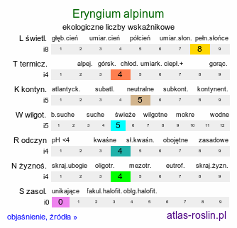 ekologiczne liczby wskaźnikowe Eryngium alpinum (mikołajek alpejski)