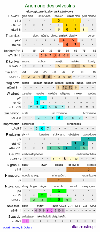 ekologiczne liczby wskaźnikowe Anemonoides sylvestris (zawilec wielkokwiatowy)