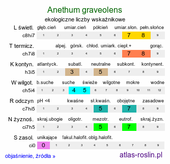 ekologiczne liczby wskaźnikowe Anethum graveolens (koper ogrodowy)