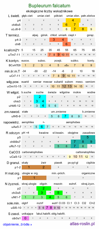 ekologiczne liczby wskaźnikowe Bupleurum falcatum (przewiercień sierpowaty)