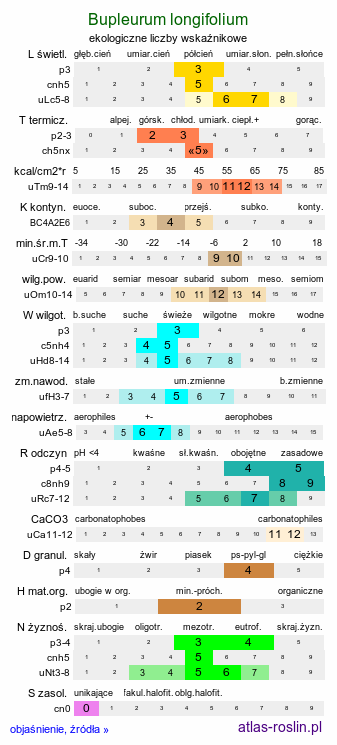 ekologiczne liczby wskaźnikowe Bupleurum longifolium (przewiercień długolistny)