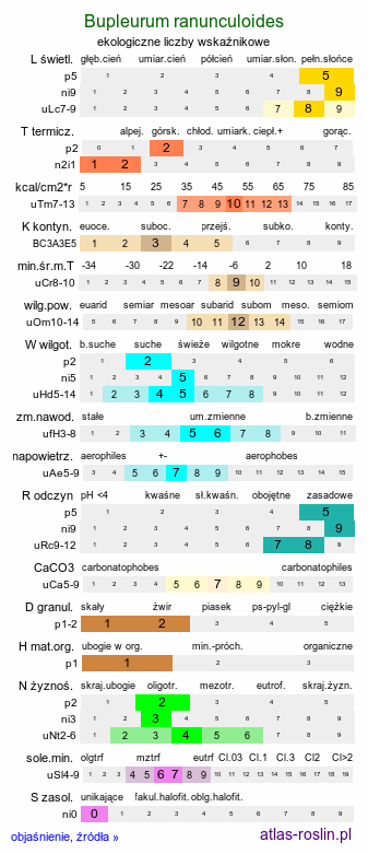 ekologiczne liczby wskaźnikowe Bupleurum ranunculoides (przewiercień jaskrowaty)
