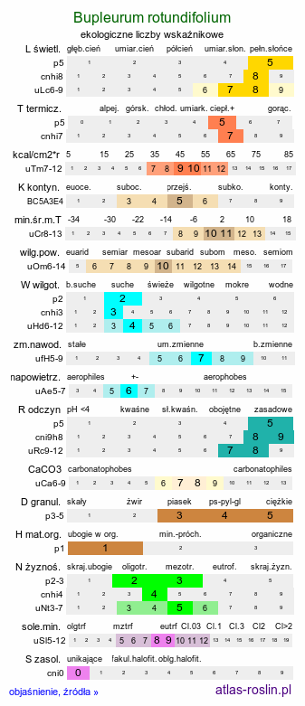 ekologiczne liczby wskaźnikowe Bupleurum rotundifolium (przewiercień okrągłolistny)