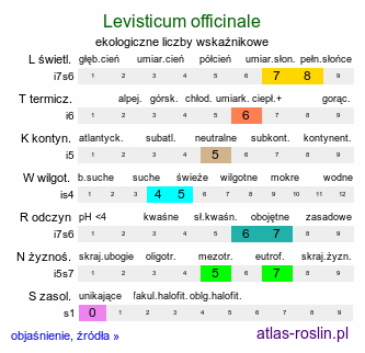 ekologiczne liczby wskaźnikowe Levisticum officinale (lubczyk ogrodowy)