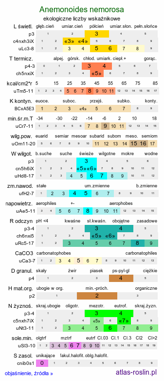 ekologiczne liczby wskaźnikowe Anemonoides nemorosa (zawilec gajowy)