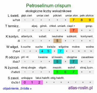 ekologiczne liczby wskaźnikowe Petroselinum crispum (pietruszka zwyczajna)