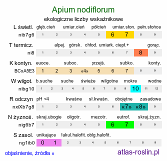 ekologiczne liczby wskaźnikowe Apium nodiflorum (selery węzłobaldachowe)