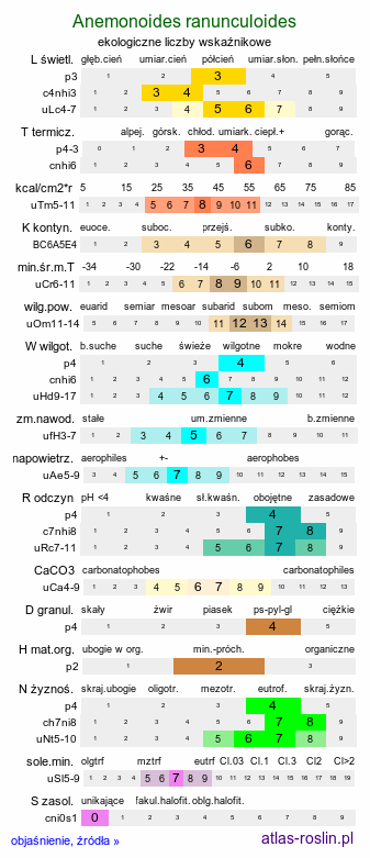 ekologiczne liczby wskaźnikowe Anemonoides ranunculoides (zawilec żółty)