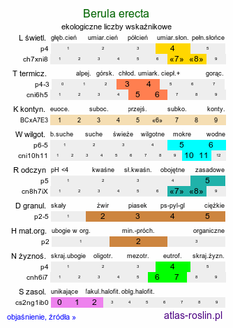 ekologiczne liczby wskaźnikowe Berula erecta (potocznik wąskolistny)