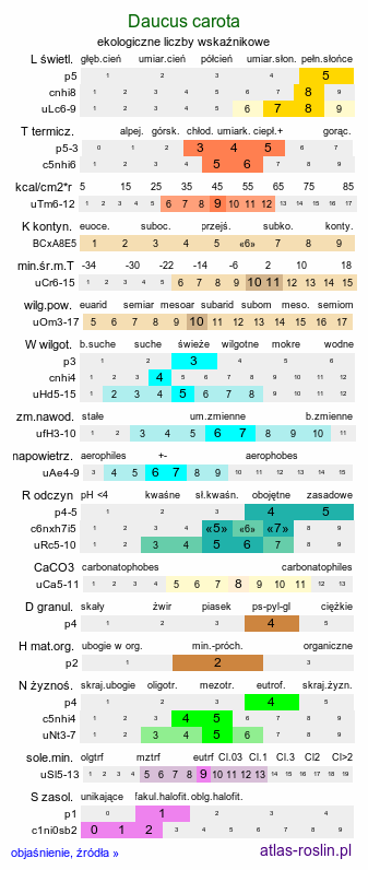 ekologiczne liczby wskaźnikowe Daucus carota (marchew zwyczajna)