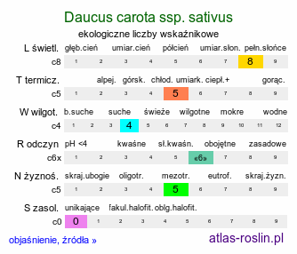 ekologiczne liczby wskaźnikowe Daucus carota ssp. sativus (marchew zwyczajna uprawna)