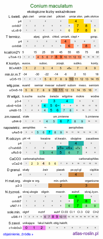 ekologiczne liczby wskaźnikowe Conium maculatum (szczwół plamisty)