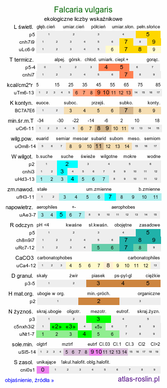 ekologiczne liczby wskaźnikowe Falcaria vulgaris (sierpnica pospolita)