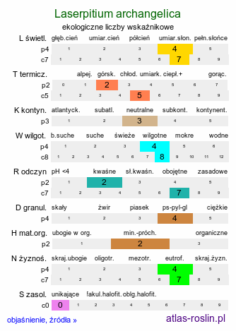 ekologiczne liczby wskaźnikowe Laserpitium archangelica (okrzyn jeleni)