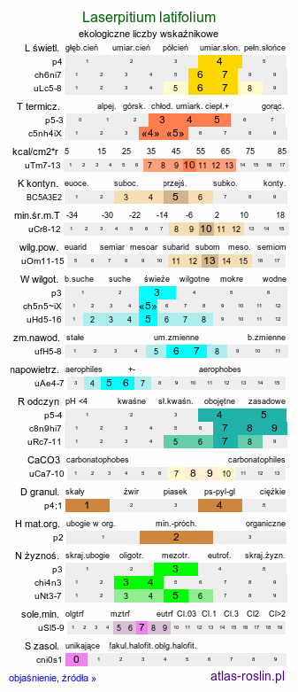 ekologiczne liczby wskaźnikowe Laserpitium latifolium (okrzyn szerokolistny)