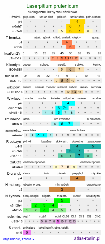 ekologiczne liczby wskaźnikowe Laserpitium prutenicum (okrzyn łąkowy)
