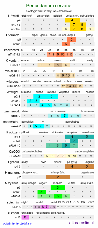 ekologiczne liczby wskaźnikowe Peucedanum cervaria (gorysz siny)