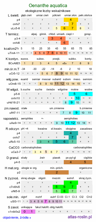 ekologiczne liczby wskaźnikowe Oenanthe aquatica (kropidło wodne)