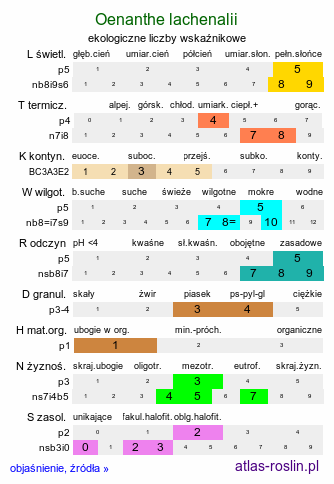 ekologiczne liczby wskaźnikowe Oenanthe lachenalii (kropidło Lachenala)