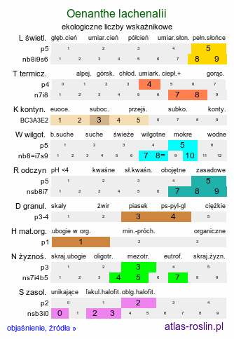 ekologiczne liczby wskaźnikowe Oenanthe lachenalii (kropidło Lachenala)