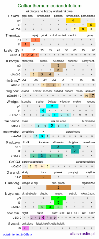 ekologiczne liczby wskaźnikowe Callianthemum coriandrifolium (rutewnik jaskrowaty)