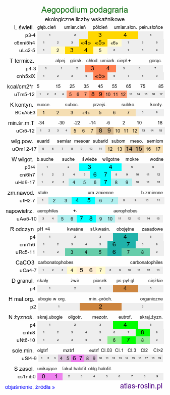 ekologiczne liczby wskaźnikowe Aegopodium podagraria (podagrycznik pospolity)