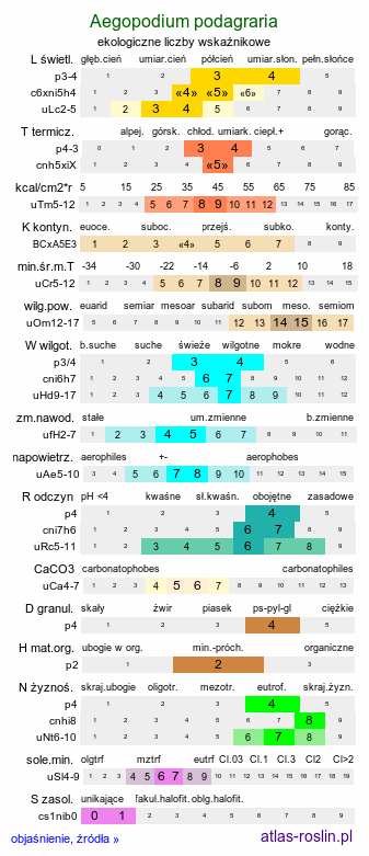 ekologiczne liczby wskaźnikowe Aegopodium podagraria (podagrycznik pospolity)