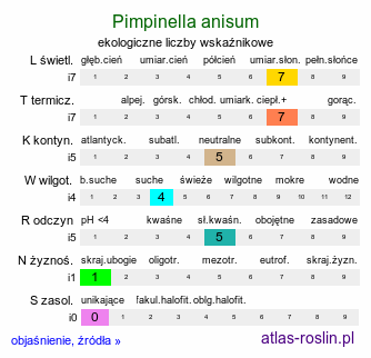 ekologiczne liczby wskaźnikowe Pimpinella anisum (biedrzeniec anyż)