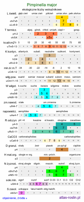 ekologiczne liczby wskaźnikowe Pimpinella major (biedrzeniec wielki)