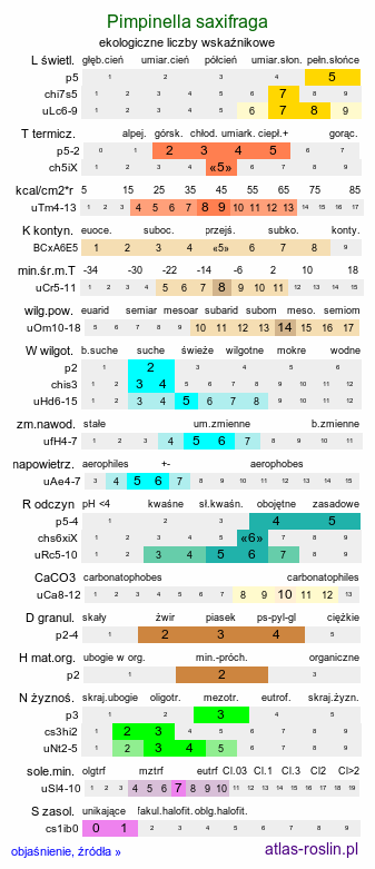 ekologiczne liczby wskaźnikowe Pimpinella saxifraga (biedrzeniec mniejszy)