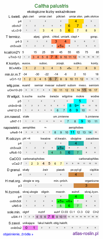 ekologiczne liczby wskaźnikowe Caltha palustris s.l. (knieć błotna)