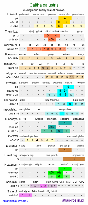 ekologiczne liczby wskaźnikowe Caltha palustris (knieć błotna)