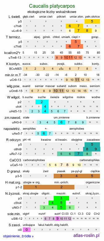 ekologiczne liczby wskaźnikowe Caucalis platycarpos (włóczydło polne)