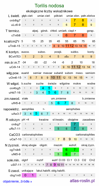 ekologiczne liczby wskaźnikowe Torilis nodosa (kłobuczka kolankowata)