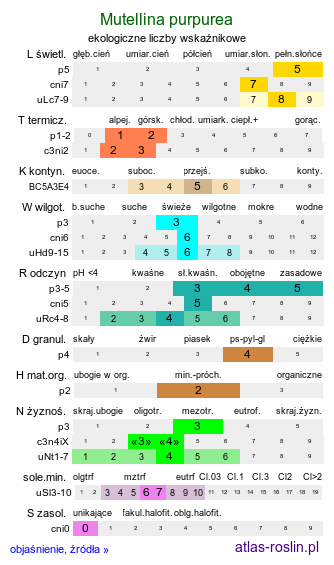 ekologiczne liczby wskaźnikowe Mutellina purpurea (marchwica pospolita)