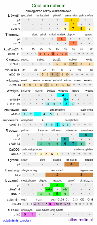 ekologiczne liczby wskaźnikowe Cnidium dubium (selernica żyłkowana)