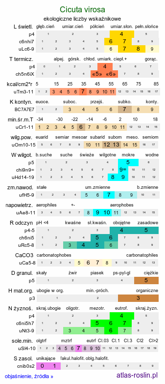 ekologiczne liczby wskaźnikowe Cicuta virosa (szalej jadowity)