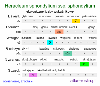 ekologiczne liczby wskaźnikowe Heracleum sphondylium ssp. sphondylium (barszcz zwyczajny typowy)