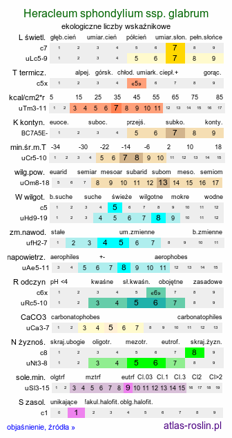 ekologiczne liczby wskaźnikowe Heracleum sphondylium ssp. glabrum (barszcz syberyjski)