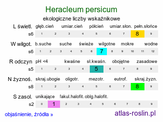 ekologiczne liczby wskaźnikowe Heracleum persicum (barszcz perski)