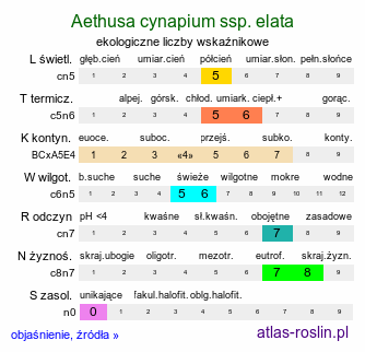 ekologiczne liczby wskaźnikowe Aethusa cynapioides ssp. elata (blekot cienisty)