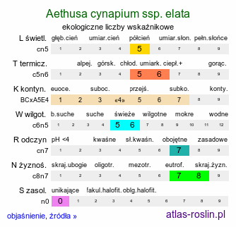 ekologiczne liczby wskaźnikowe Aethusa cynapium ssp. elata (blekot cienisty)